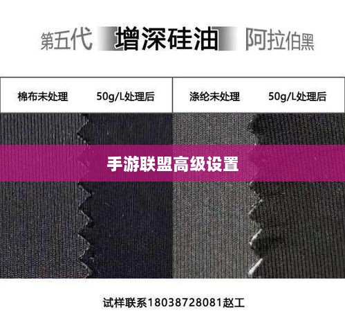 手游联盟高级设置全解析,功能、特点与优势详解-图1 手游联盟高级设置全解析,功能、特点与优势详解-图1