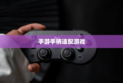 手游手柄适配游戏及体验优化探讨-图1