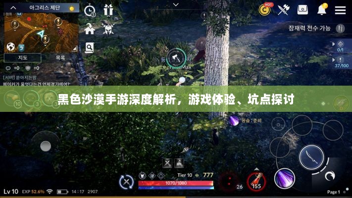 黑色沙漠手游深度解析，游戏体验、坑点探讨-图1