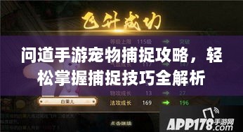 问道手游宠物捕捉攻略，轻松掌握捕捉技巧全解析-图1