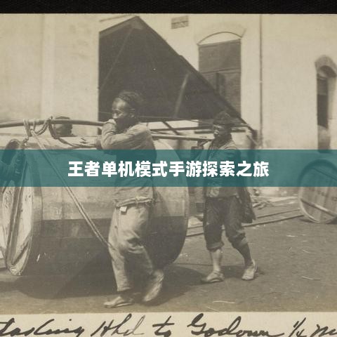 王者单机模式手游探索之旅-图1 王者单机模式手游探索之旅-图1