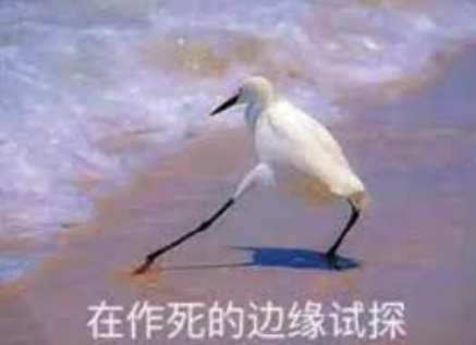 揭秘城市常见鸟类,13种常见大鸟,你或许见过却叫不出名字-图10 揭秘城市常见鸟类,13种常见大鸟,你或许见过却叫不出名字-图10