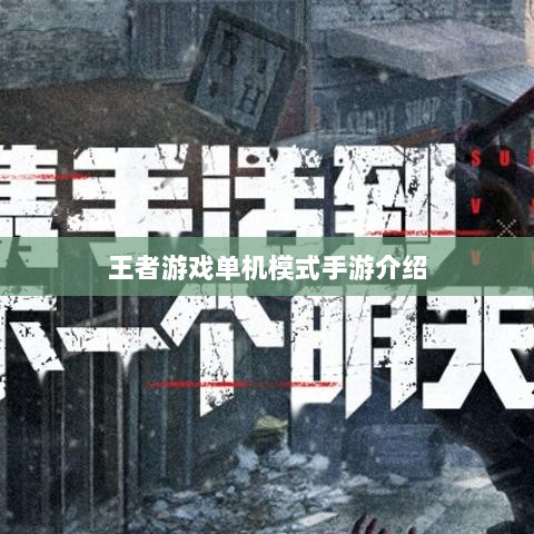 王者游戏单机模式手游介绍-图1 王者游戏单机模式手游介绍-图1
