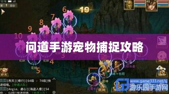 问道手游宠物捕捉攻略,轻松掌握捕捉技巧全解析-图1 问道手游宠物捕捉攻略,轻松掌握捕捉技巧全解析-图1