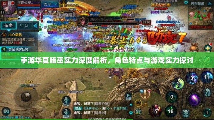手游华夏暗巫实力深度解析,角色特点与游戏实力探讨-图1 手游华夏暗巫实力深度解析,角色特点与游戏实力探讨-图1