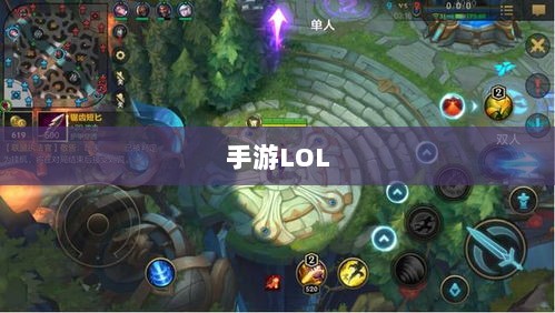 手游LOL,辅助APP选择与优化游戏体验攻略-图1 手游LOL,辅助APP选择与优化游戏体验攻略-图1