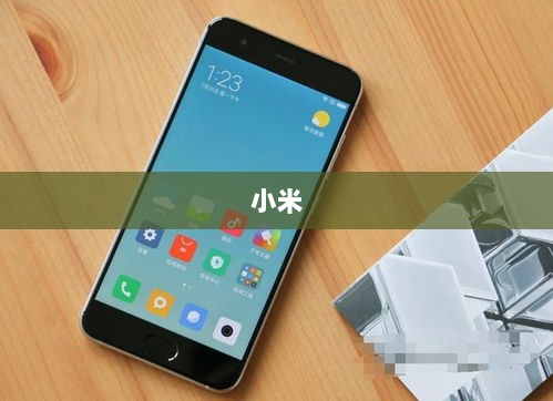 沪指波动，两大板块崛起与小米股价下跌背后的真相，高管回应雷军减持传闻-图1