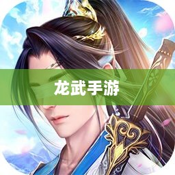 深度解析，龙武手游的成功存活之道-图1
