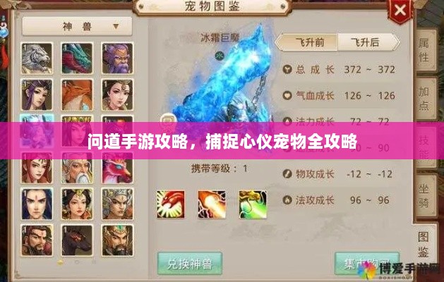 问道手游攻略,捕捉心仪宠物全攻略-图1 问道手游攻略,捕捉心仪宠物全攻略-图1