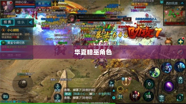 手游华夏暗巫角色深度解析,优势与劣势探讨-图1 手游华夏暗巫角色深度解析,优势与劣势探讨-图1