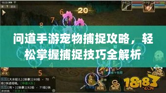 问道手游宠物捕捉攻略，轻松掌握捕捉技巧全解析-图1