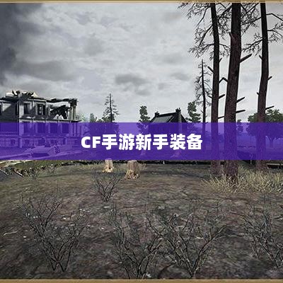 CF手游新手装备与道具购买指南-图1