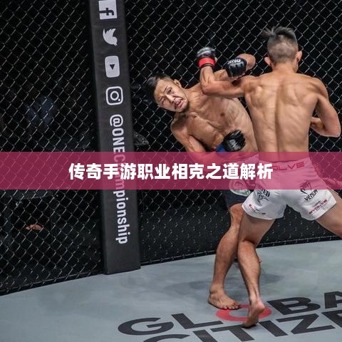 传奇手游职业相克之道解析-图1 传奇手游职业相克之道解析-图1