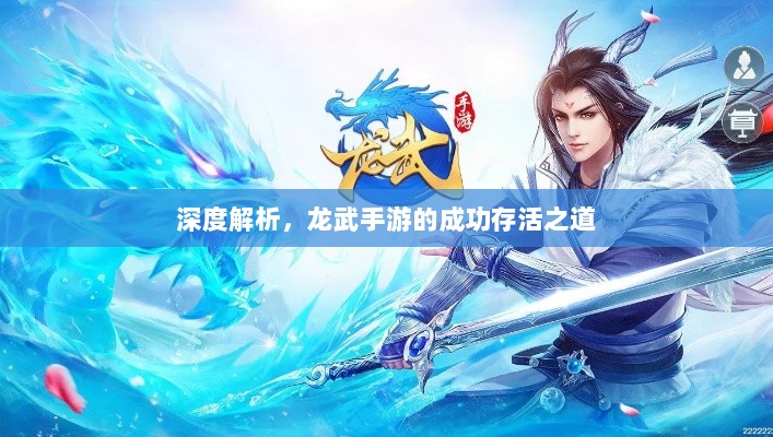 深度解析，龙武手游的成功存活之道-图1