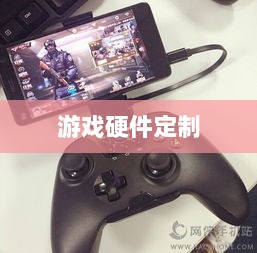 CF手游定制手柄,游戏硬件定制的新潮流-图1 CF手游定制手柄,游戏硬件定制的新潮流-图1