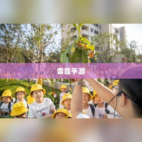 雷霆手游，探索游戏世界的无限乐趣-图1