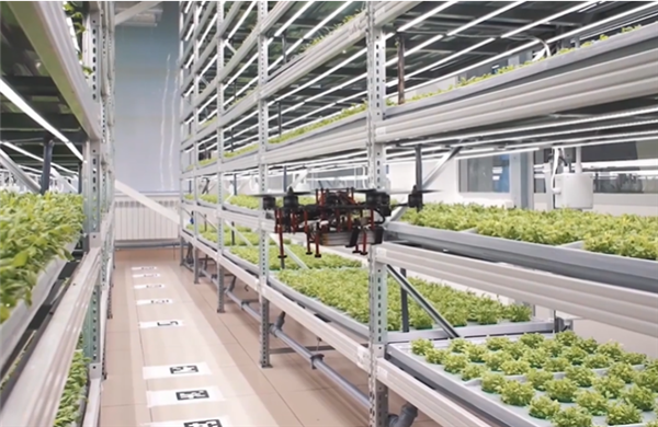 龙芯CPU赋能智慧草莓大棚，国产技术引领农业革新-图5