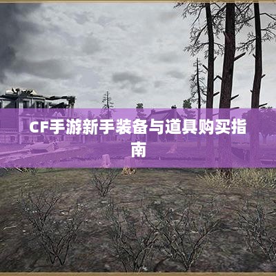 CF手游新手装备与道具购买指南-图1 CF手游新手装备与道具购买指南-图1