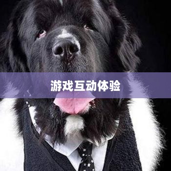 手游宠物购买系统,游戏互动体验的新趋势-图1 手游宠物购买系统,游戏互动体验的新趋势-图1