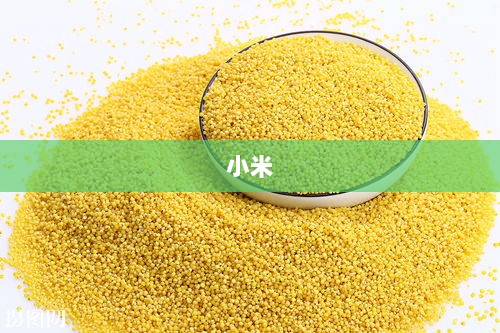 小米汽车碰撞事故揭秘，从检测到碰撞仅几秒，生死瞬间究竟发生了什么？-图1