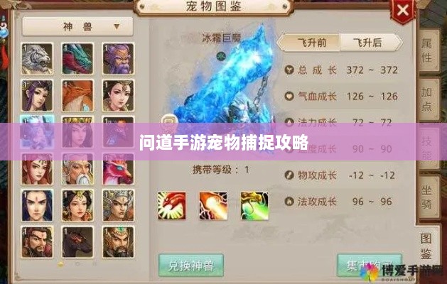 问道手游宠物捕捉攻略，轻松掌握捕捉技巧全解析-图1
