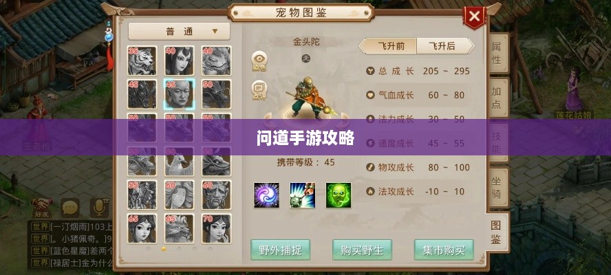 问道手游攻略，捕捉心仪宠物全攻略-图1
