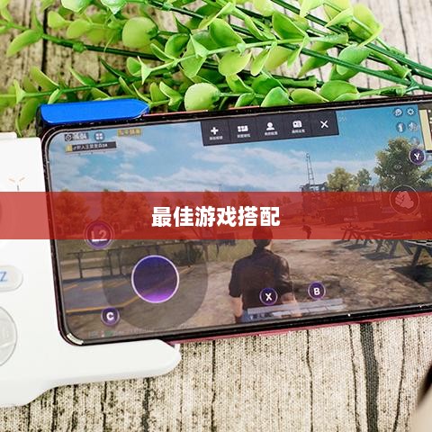 手游手柄，最佳游戏搭配探索-图1