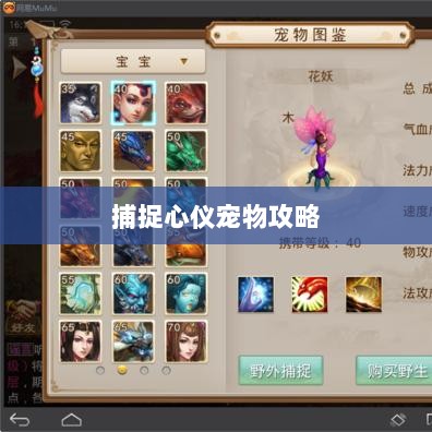 问道手游攻略，捕捉心仪宠物全攻略-图1