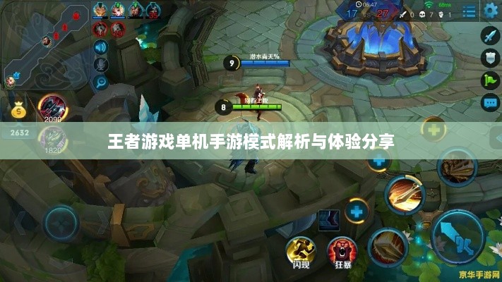 王者游戏单机手游模式解析与体验分享-图1