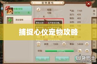 问道手游攻略，捕捉心仪宠物全攻略-图1