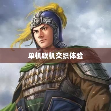 幕府风云手游，单机联机交织体验之旅-图1