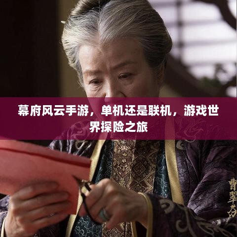 幕府风云手游,单机还是联机,游戏世界探险之旅-图1 幕府风云手游,单机还是联机,游戏世界探险之旅-图1