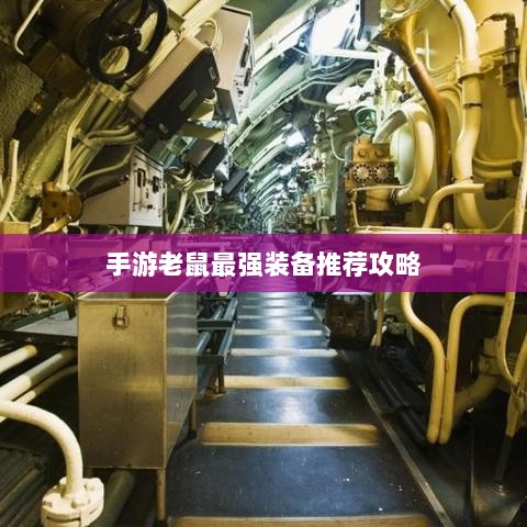 手游老鼠最强装备推荐攻略-图1 手游老鼠最强装备推荐攻略-图1