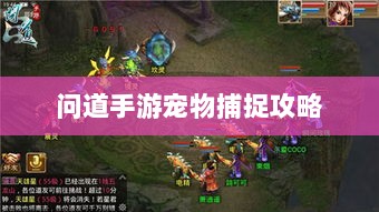问道手游宠物捕捉攻略,轻松掌握捕捉技巧全解析-图1 问道手游宠物捕捉攻略,轻松掌握捕捉技巧全解析-图1
