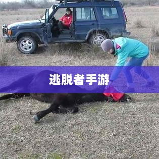 逃脱者手游,网络需求与游戏特性深度探讨-图1 逃脱者手游,网络需求与游戏特性深度探讨-图1
