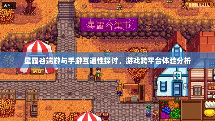 星露谷端游与手游互通性探讨，游戏跨平台体验分析-图1
