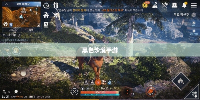 黑色沙漠手游，深度体验与全面解析-图1