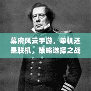 幕府风云手游,单机还是联机,策略选择之战!-图1 幕府风云手游,单机还是联机,策略选择之战!-图1