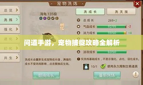问道手游,宠物捕捉攻略全解析-图1 问道手游,宠物捕捉攻略全解析-图1