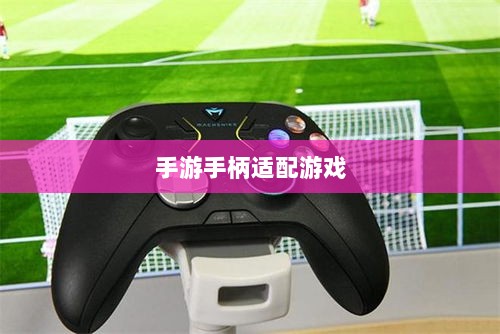 手游手柄适配游戏精选，打造极致游戏体验-图1