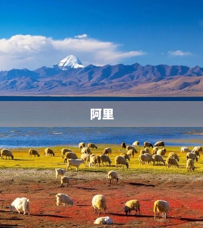 转转成立AI事业部,宇树科技澄清不实投资传闻,未来商业新动向-图1 转转成立AI事业部,宇树科技澄清不实投资传闻,未来商业新动向-图1