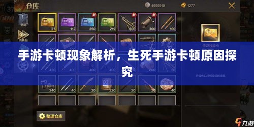 手游卡顿现象解析，生死手游卡顿原因探究-图1
