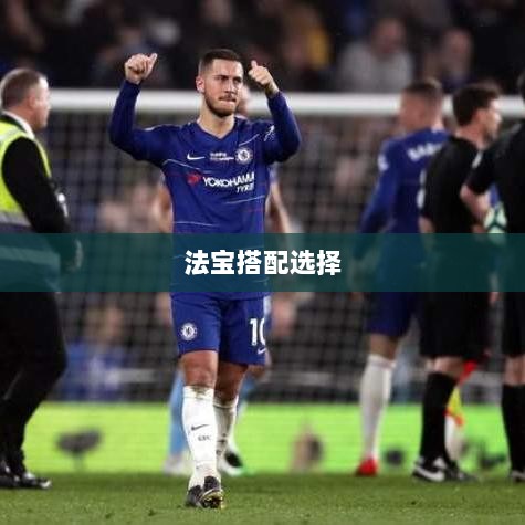 问道手游暴走法宝攻略,最佳法宝搭配选择指南-图1 问道手游暴走法宝攻略,最佳法宝搭配选择指南-图1