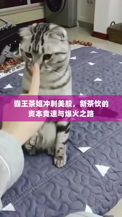 霸王茶姬冲刺美股，新茶饮的资本竞速与爆火之路-图1