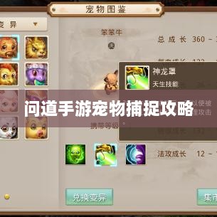 问道手游宠物捕捉攻略，轻松掌握捕捉技巧全解析-图1