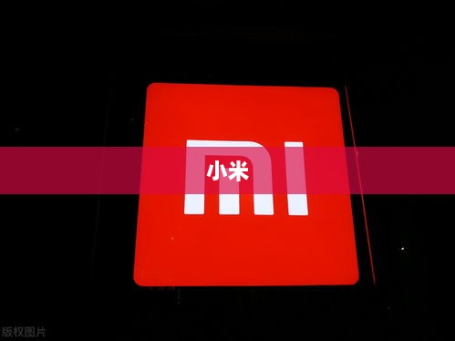 小米SU7车祸事件,雷军的困境与挑战-图1 小米SU7车祸事件,雷军的困境与挑战-图1