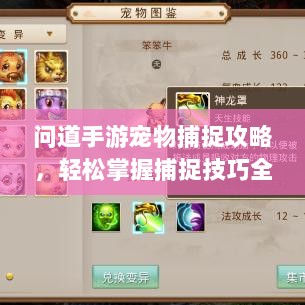 问道手游宠物捕捉攻略，轻松掌握捕捉技巧全解析-图1