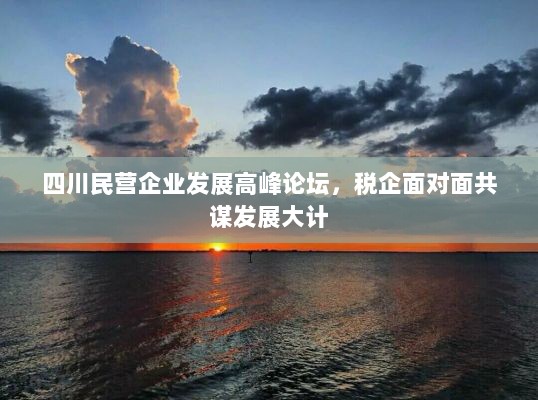 四川民营企业发展高峰论坛，税企面对面共谋发展大计-图1