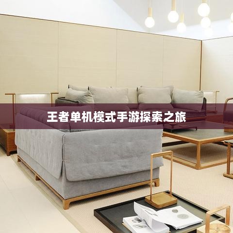 王者单机模式手游探索之旅-图1