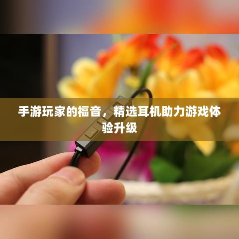 手游玩家的福音,精选耳机助力游戏体验升级-图1 手游玩家的福音,精选耳机助力游戏体验升级-图1